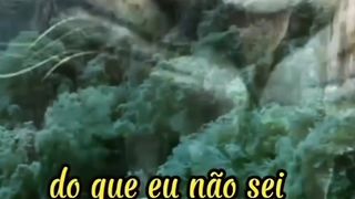 Salmo