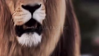Amém 3