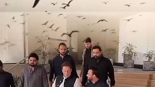 Imran Khan the best man Imran Khan beautiful 2