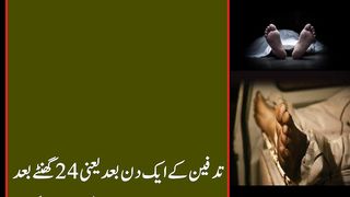 The Reality of Human |