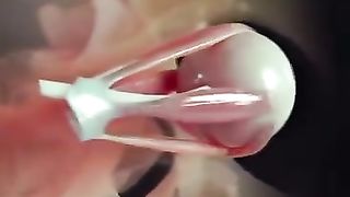 How your eye connects to the brain Credit: AnatomyApp