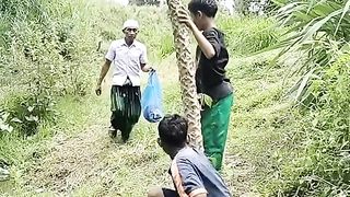 Terjatuh