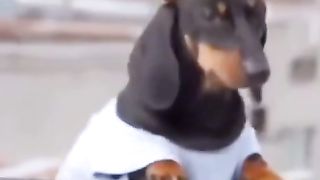 Tik tok moment funny