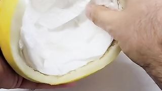 latos patos