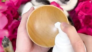 ASMR Dog Grooming