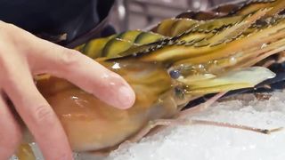 Longer than your hand！GIANT River Prawns in Bangkok, Grilled Oysters_巨大烤河蝦, 正宗泰國蝦-Thai Street Food