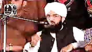 Lovely 334