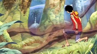 Luffy Vs Wiper