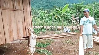 10 TANIM NA KIKITA KA NG MALAKI PERO MALIIT ANG GASTOS - PART 1_ D' GREEN THUMB