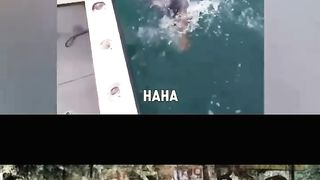 Ridiculous Incident vol 79