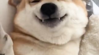 Funny 03