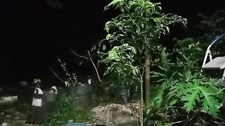 Silent night decorated with the sound of crickets and insects behind Indonesian rural houses