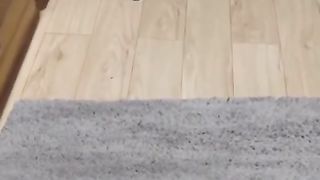 Cute Kittens || Funny Pet compilation Video