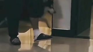 Dog is good faithful