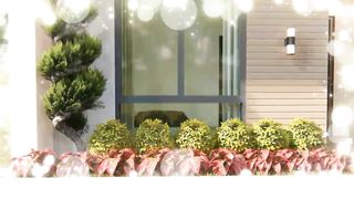 HOUSE DESIGN IDEA _8 X 12 Meters _ 3 Bedroom Pinoy Dream House _ Box Type House