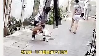Cats VS dogs