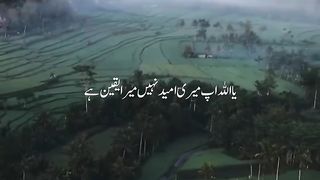 Muslim Dava