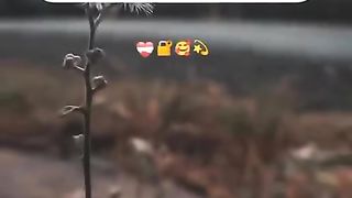 content 18