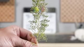 New project  behind national natural