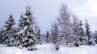 snow in les