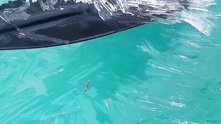 Beach Ice