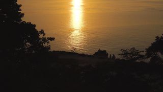 "Sunset Whispers: Nature's Silent Goodnight"
