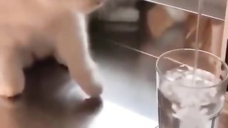 киссоу бульк
