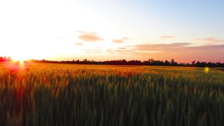 "Eclipsed by Twilight: A Visual Ode to the Setting Sun"