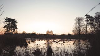 "Whispers of the Day's End: A Visual Overture to Twilight"