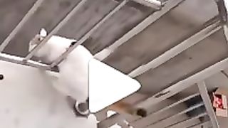 الناس لما بتلاقي طريق مسدود قدامها بتقف تعتبرها اشارة انا :
