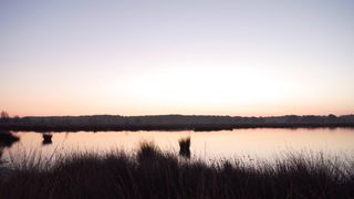"Dusk Diaries: Unveiling the Drama of the Evening Sky"