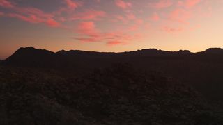 "Dusk Delirium: A Visual Love Letter to the Setting Sun"