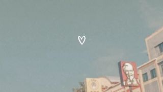 Status wa 6