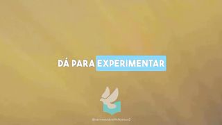 Gratidão ????