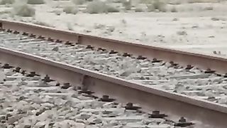 Train curve views