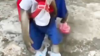 another pair of monkeys are about to go to school