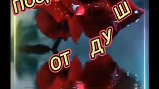 flower mower ty