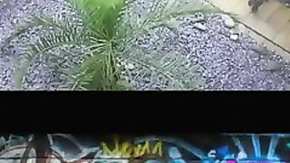 Ridiculous Incident vol 81