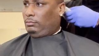 Barbershop's Are Wild
