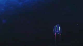 fuyp gfg