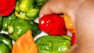 Preparation of africain menu/ plat check out this cooking