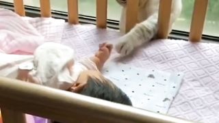 Cat disturbs sleeping Baby