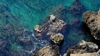 "Echoes of Eden: Exploring the Untouched Beauty of Our Natural World"