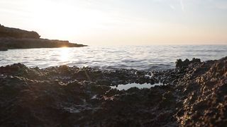 "Sacred Wilderness: A Cinematic Voyage Through Nature's Sanctuaries"