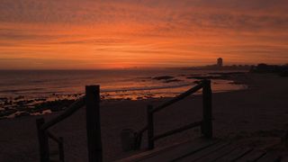"Nature's Tapestry: Weaving Stories of Beauty and Wonder Through Film"