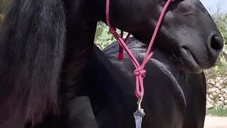 Красивая 21