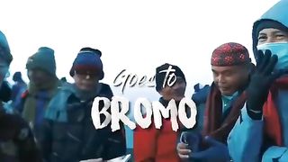 bromo trippp