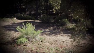 The Ghost