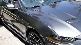 Mastang