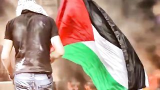 Free Palastine Trending video 2